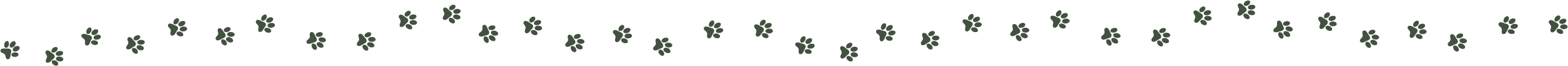 Des empreintes de chiens