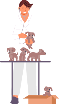 Illustration d'une visite vétérinaire d'un chien